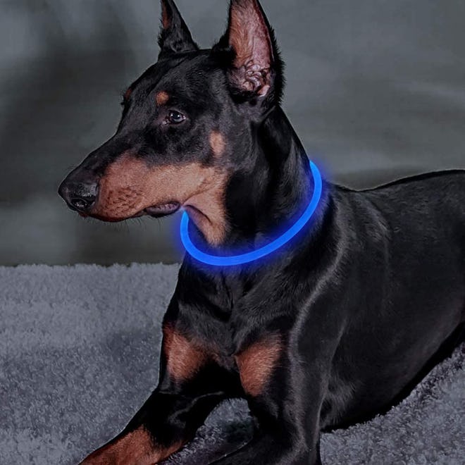 BSEEN LED Dog Collar