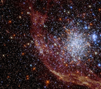 This Hubble image shows the star cluster NGC 1850, located about 160,000 light-years away. 