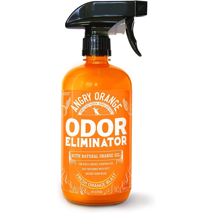 ANGRY ORANGE Pet Odor Eliminator, 24 Fl. Oz.