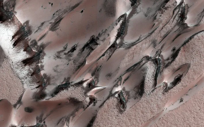 Em Marte, a geada de dióxido de carbono e o gelo se formam sobre as dunas durante o inverno. À medida que isso sublima durante a primavera, “mega dunas” de cor mais escura (barchans) são reveladas. Crédito: NASA/JPL-Caltech/UofA