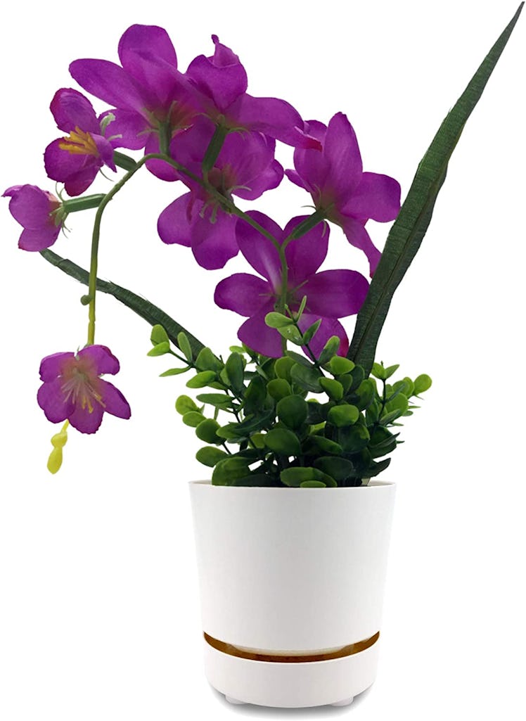 HBServices USA Self Watering + Self Aerating Plant Pot