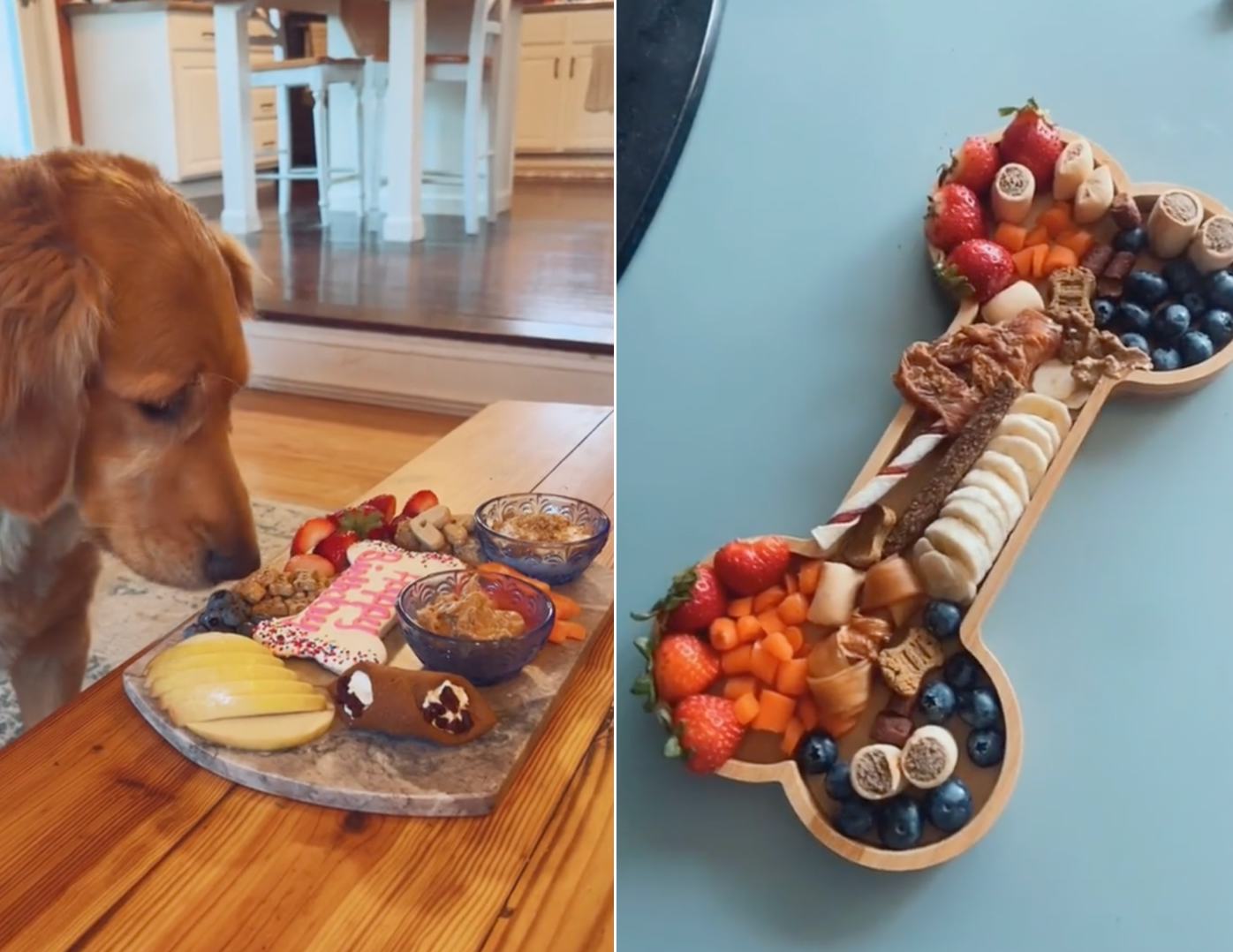 Treat Your Dog To A Barkuterie Board Inspired By These TikTok Ideas TrendRadars