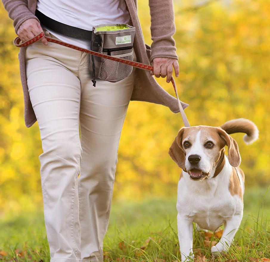 Paw Lifestyles Treat Training Pouch