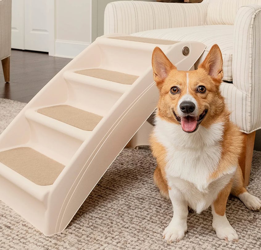 PetSafe CozyUp Folding Dog Stairs