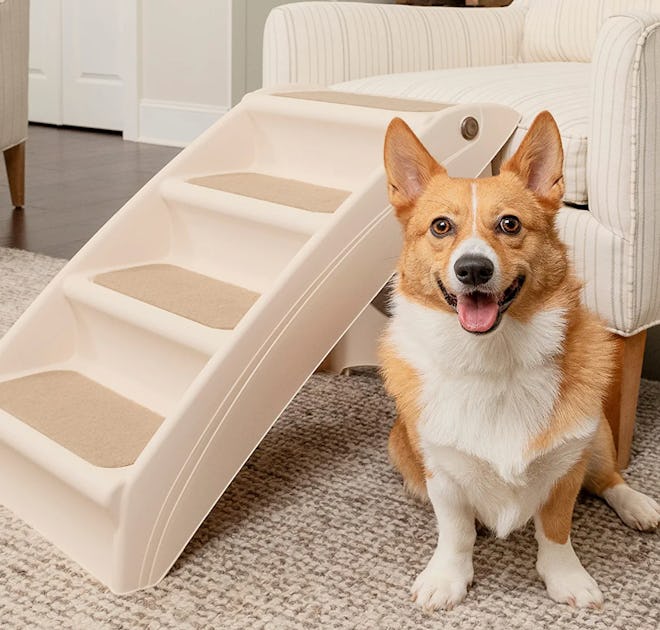 PetSafe CozyUp Folding Dog Stairs