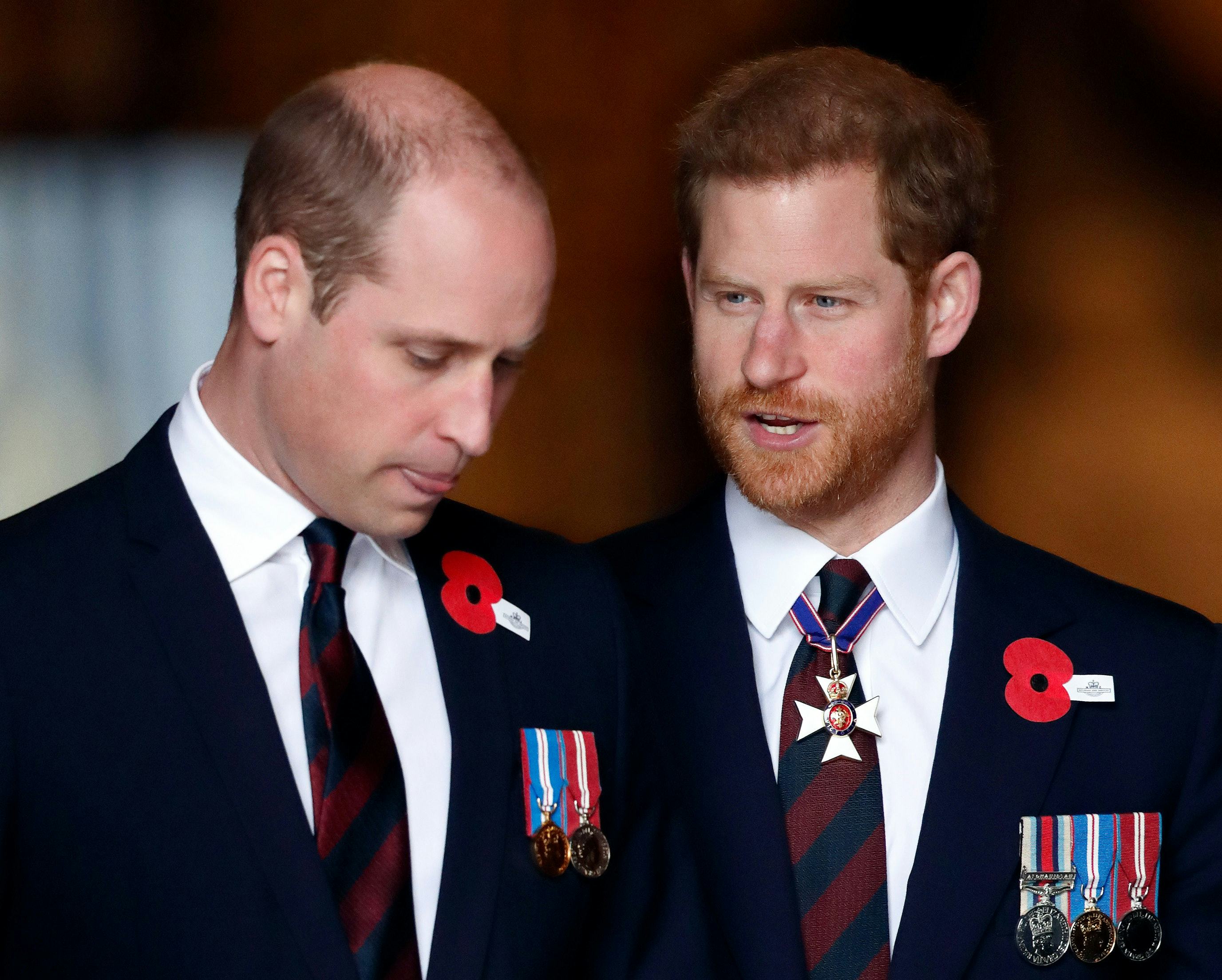 Prince Harry Alleges William Physically Attacked Him in New Book