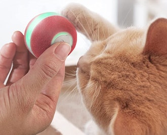 Cheerble Smart Cat Toy