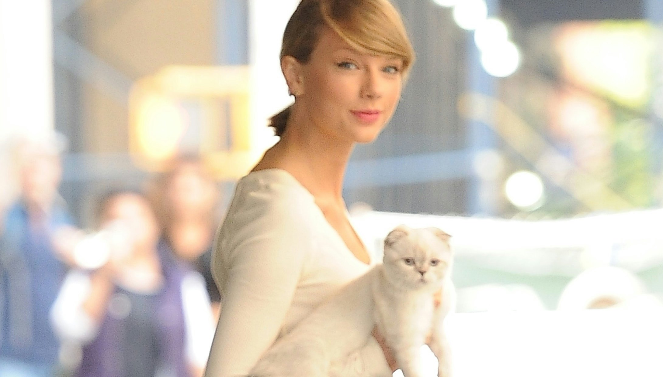 Why Is Taylor Swift's Cat Olivia Benson Worth $97 Million? Here's How
