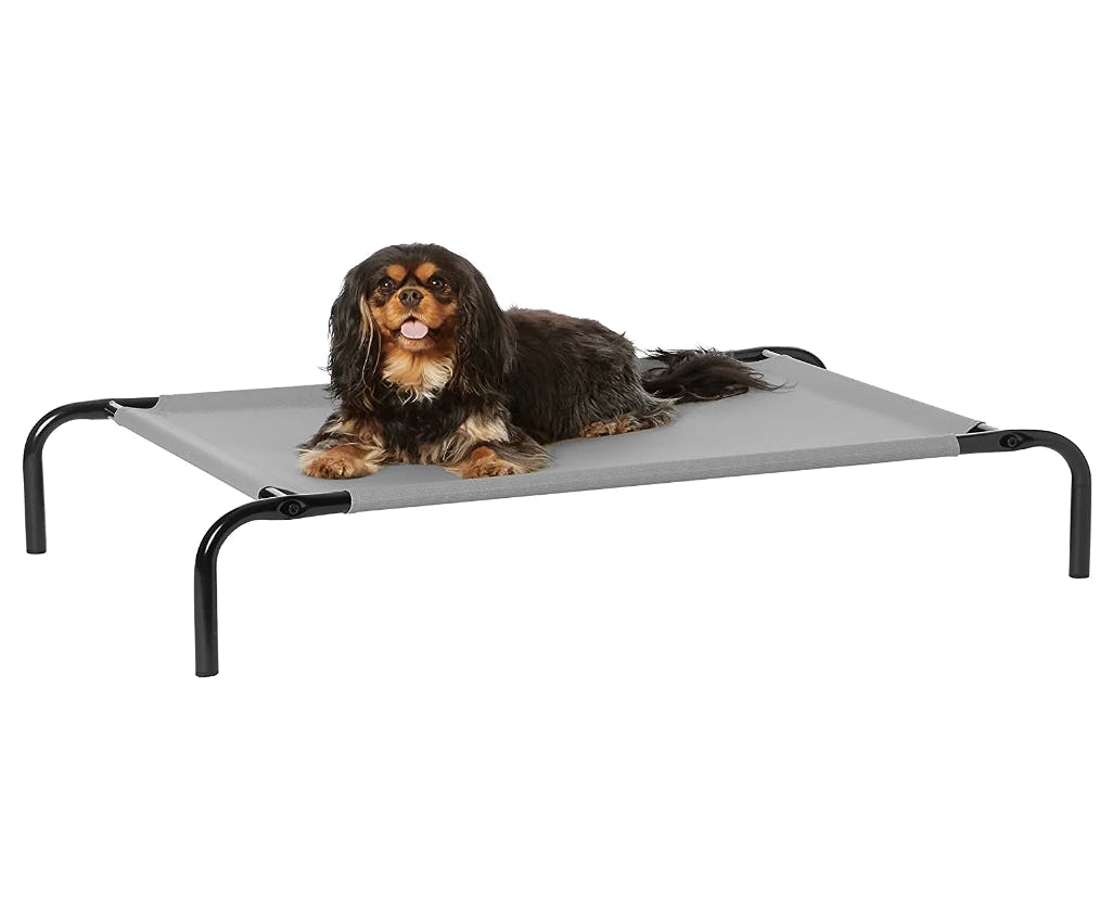 Amazon Basics Cooling Elevated Pet Bed