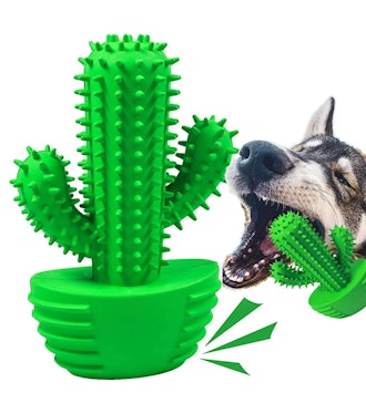 Pamlulu Cactus Chew Toy