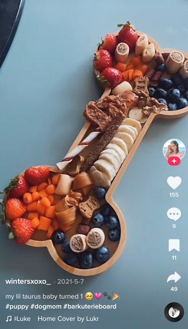 A TikToker shows how to make a dog charcuterie board with a bone-shaped cheese board. 