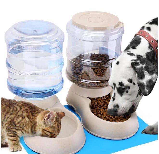 Pawzone Automatic Cat Feeder (2-Pack)