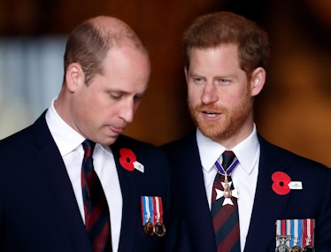 Prince William and Harry speaking to one another at a public engagement