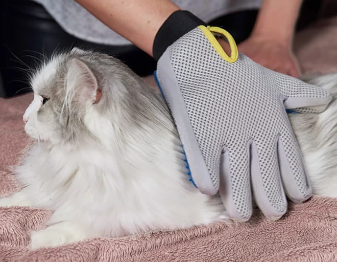 Pat Your Pet Pet Grooming Gloves