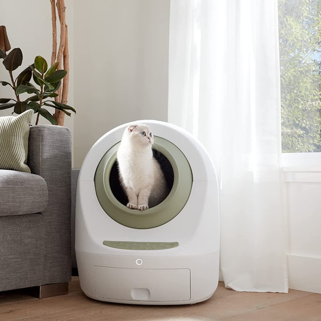 This litter robot alternative boasts UV sterilization and a sleek, modern look.