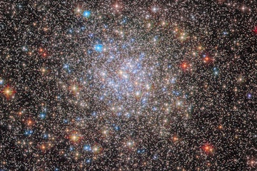 The scattered stars of the globular cluster NGC 6355 are strewn across this image from the NASA/ESA ...