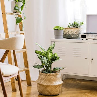 Artera Woven Seagrass Plant Basket