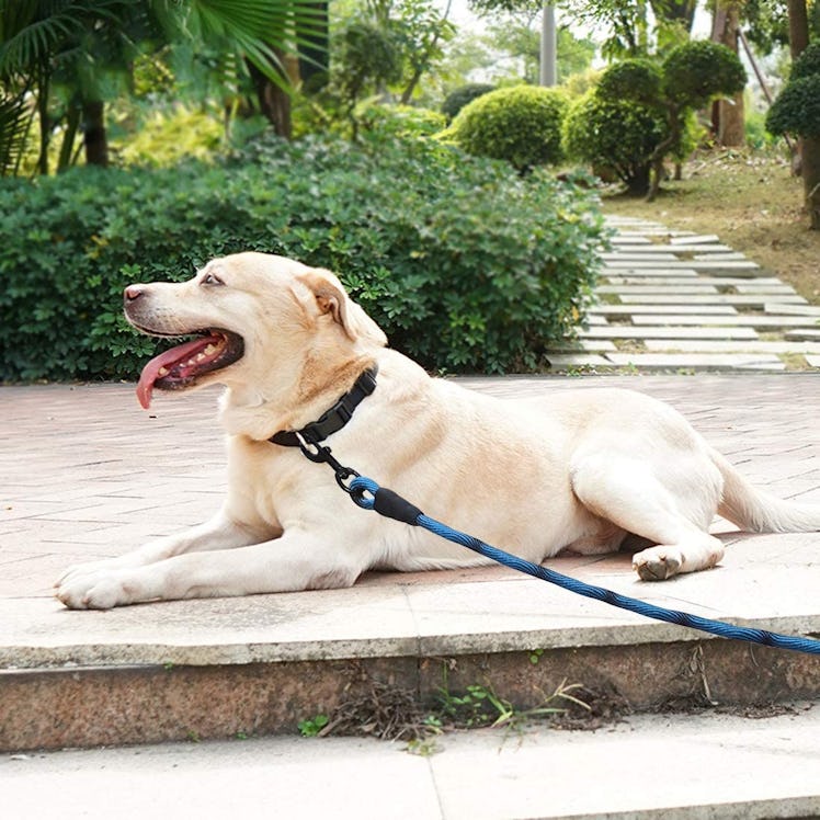 BTINESFUL Tie-Out Cord Long Leash