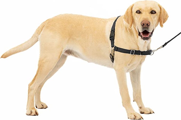 PetSafe Easy Walk Harness