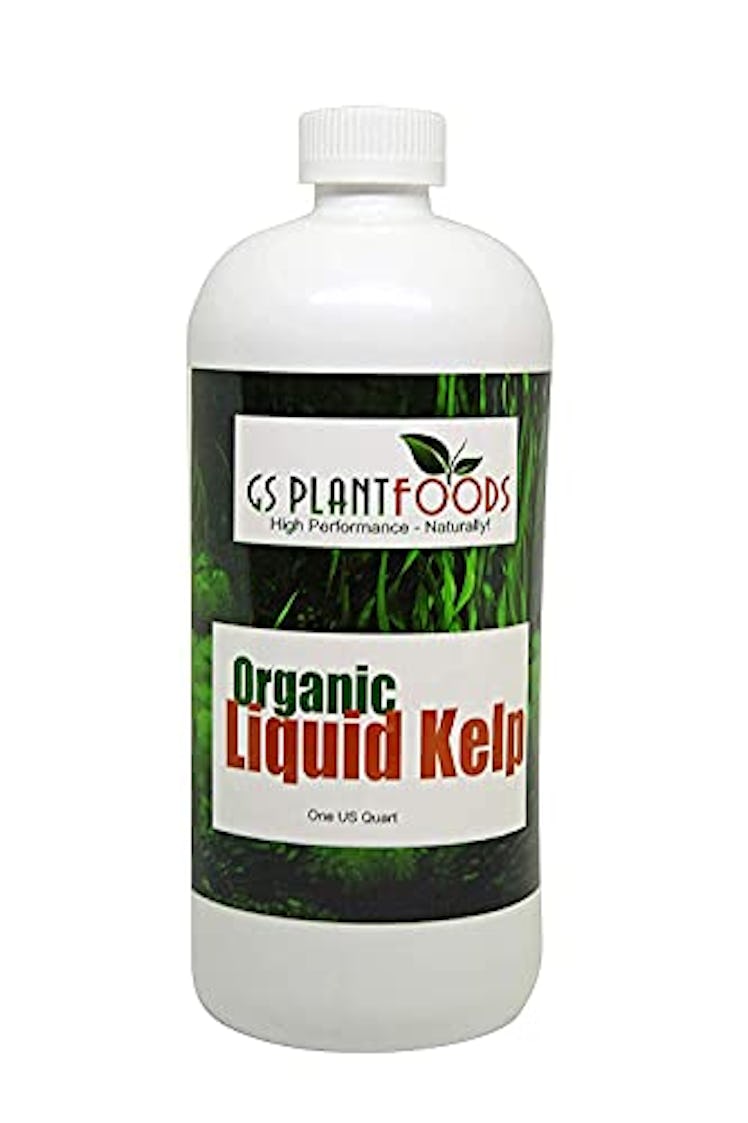 GS Plant Foods Organic Kelp Fertilizer (1-Quart)