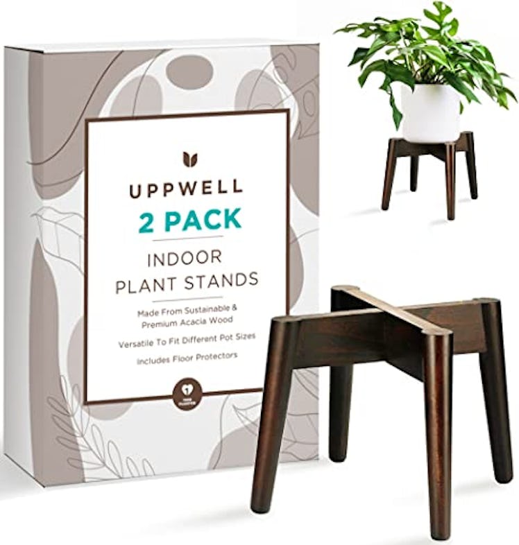 UppWell Indoor Plant Stand (Set of 2)