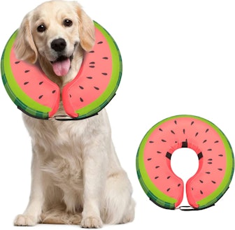 MIDOG Pet Inflatable Neck Donut Collar