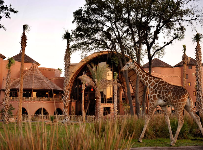 Disney hotel deals include up to 25% off on resorts like Disney's Animal Kingdom Lodge. 