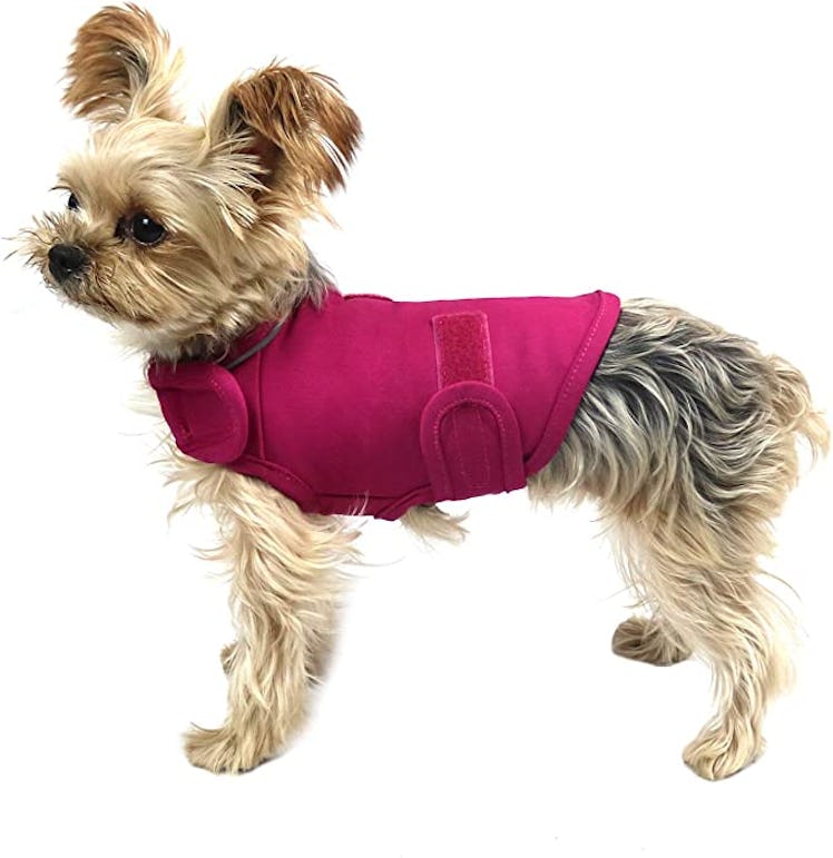 cattamao Comfort Dog Anxiety Relief Coat