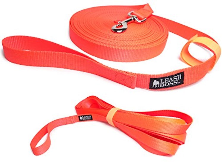 Leashboss Long Dog Leash Trainer