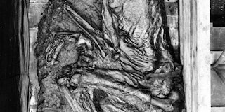 The Tollund Man, curled up in fetal position 