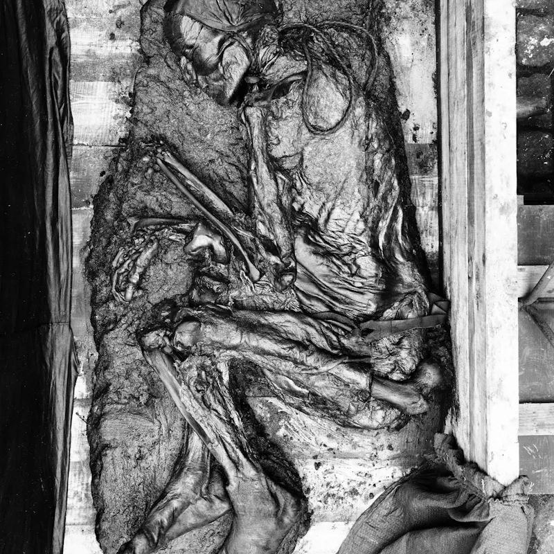The Tollund Man, curled up in fetal position