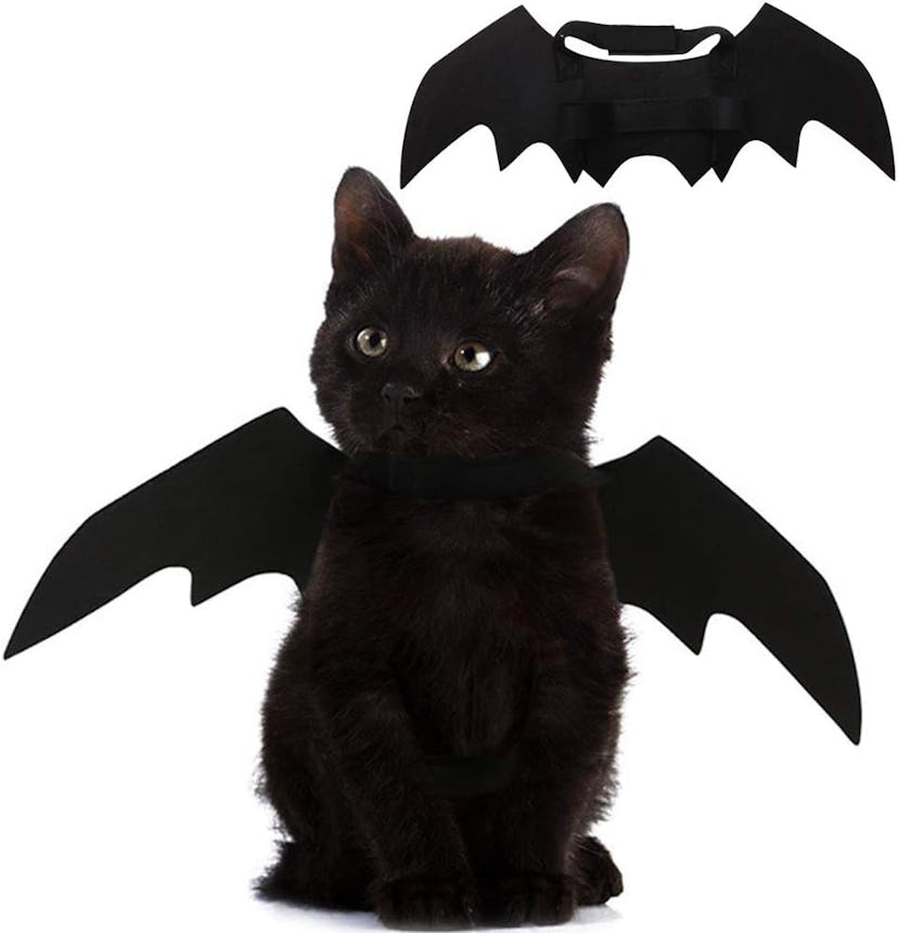 Pet Cat Bat Wings