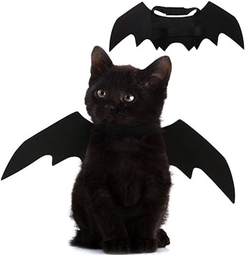 Pet Cat Bat Wings