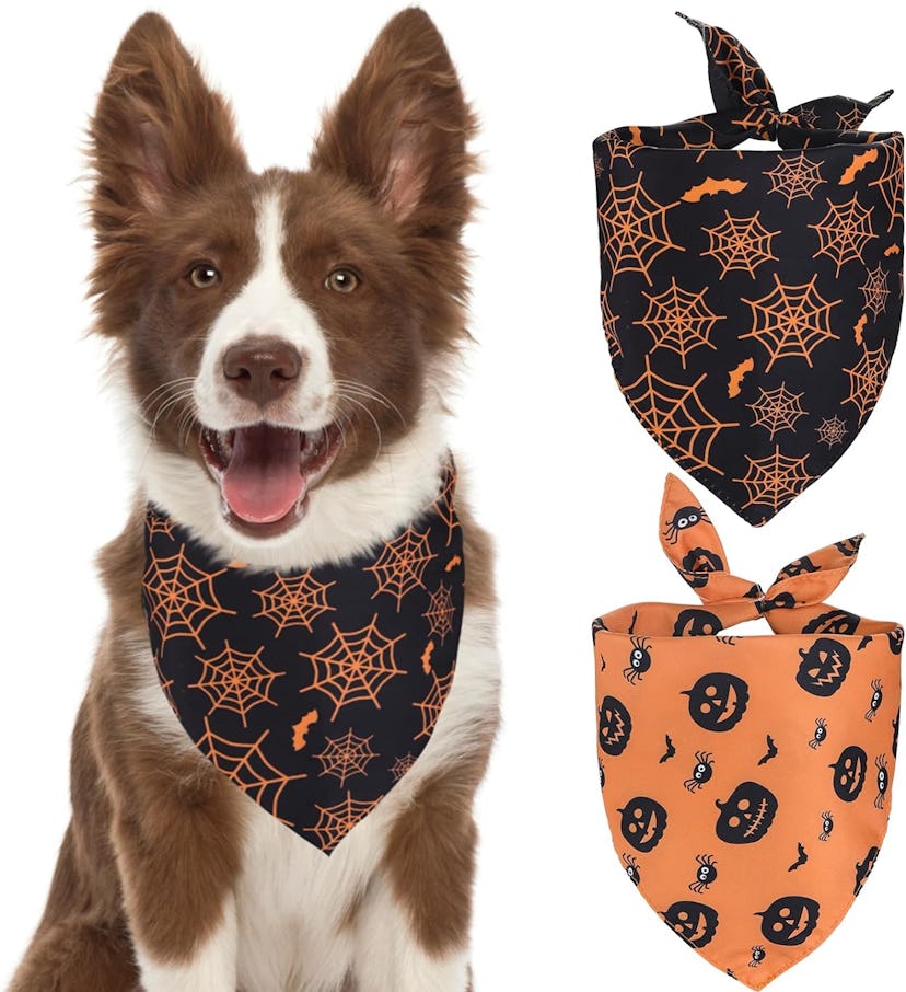 Halloween Dog Bandanas, 2-Pack