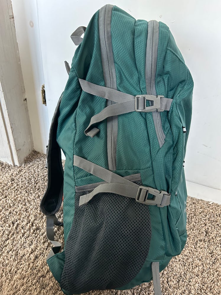 The side straps on the Venture Pal backpack, the best family backpack we've found.