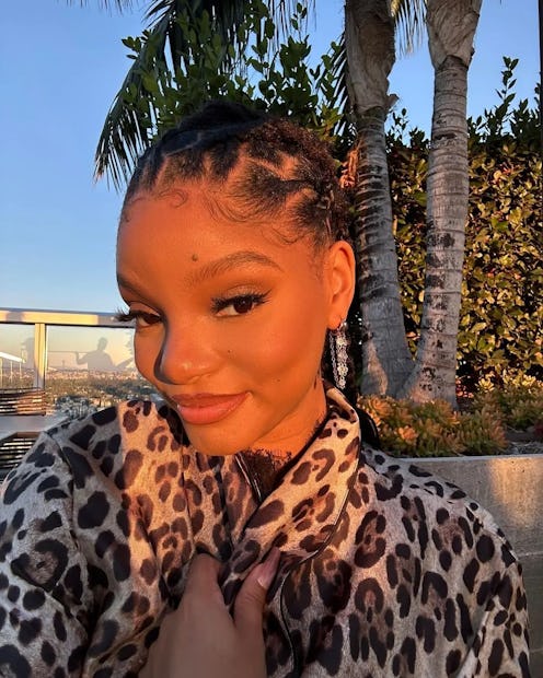 Halle Bailey has adopted the brown nail color trend in a velvet finish.