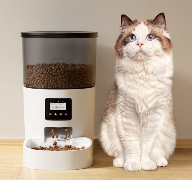 IMIPAW Automatic Pet Feeders