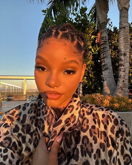 Halle Bailey's new manicure is a brown nail color in a velvet finish.