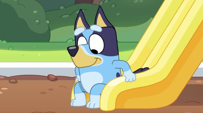 Bluey is available to stream on Disney+.