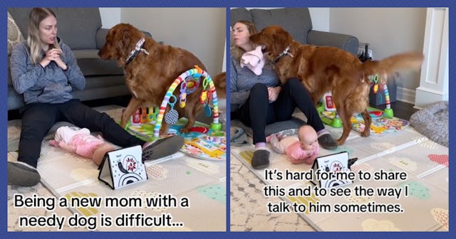 One TikTok mom, Danielle, shared her struggle with dog mom guilt in a now-viral TikTok.