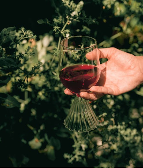 red wine for fall avaline