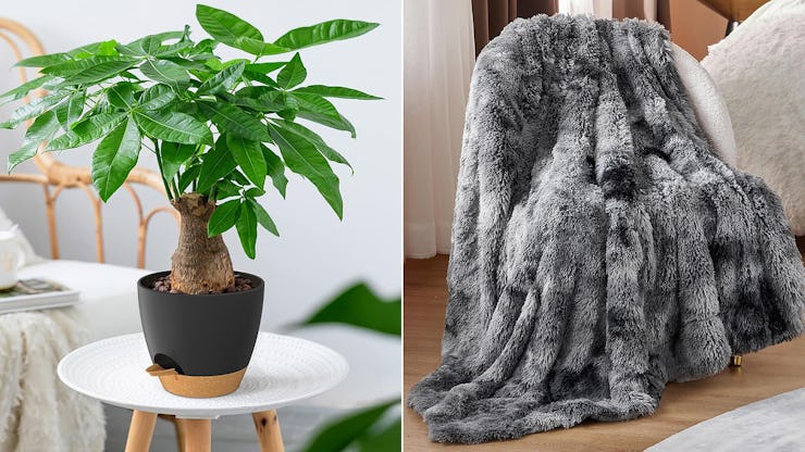 Dope Home Upgrades That Are So Cheap on Amazon