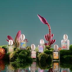 Meet Future Society, a fragrance brand that brings extinct flowers to your perfume collection.