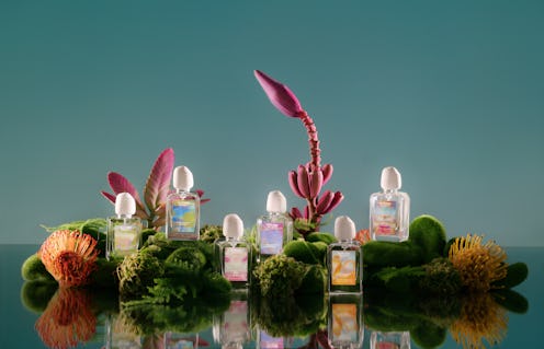 Meet Future Society, a fragrance brand that brings extinct flowers to your perfume collection.