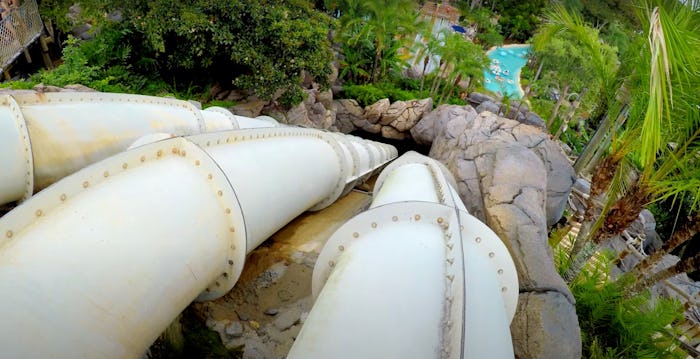 The Humunga Kowabunga Big Drop water slide at Disney's Typhoon Lagoon 