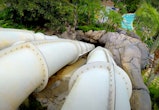 The Humunga Kowabunga Big Drop water slide at Disney's Typhoon Lagoon 