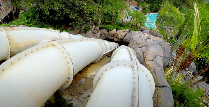 The Humunga Kowabunga Big Drop water slide at Disney's Typhoon Lagoon
