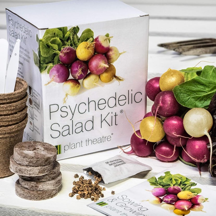 Plant Theatre Psychedelic Vegetable Garden Starter Kit 