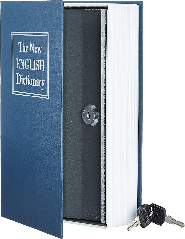 Amazon Basics Book Safe