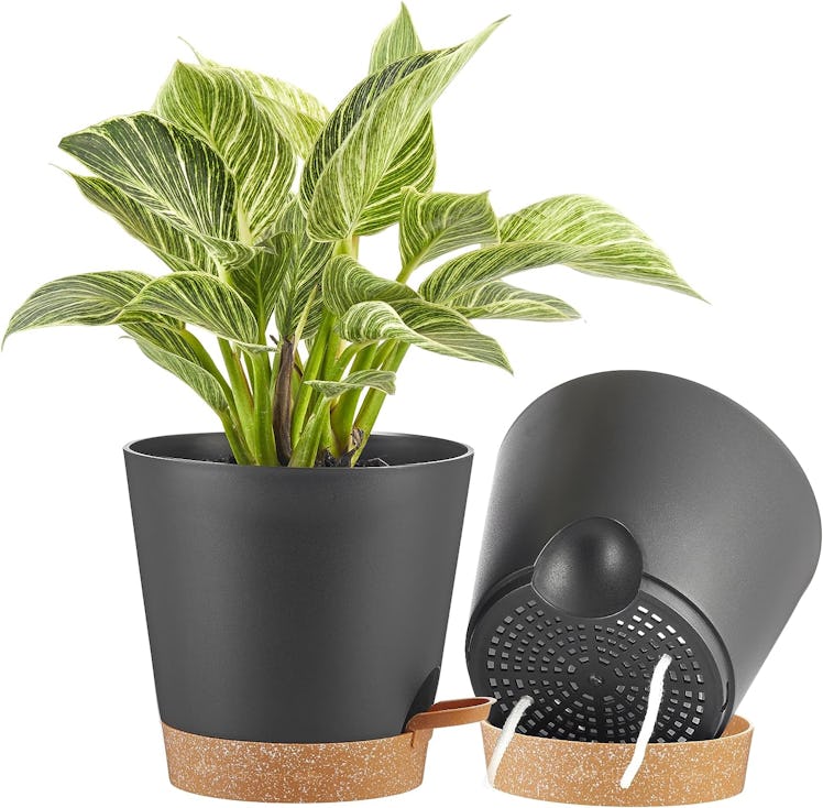 FaithLand Planter Pots (2-Pack)